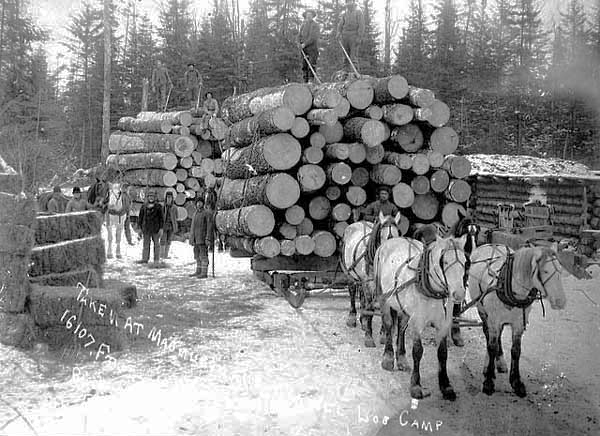 Magnuson and Lindell Logging Camp, ca. 1890.