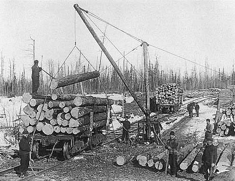 Logger loading logs on to flatbed railroad cars, ca. 1916.